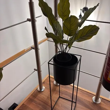 Tatil Evi La Casa De Piedra