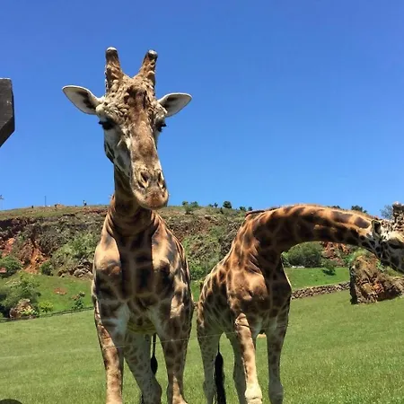 Tatil Evi La Casa De Piedra Corrales De Buelna