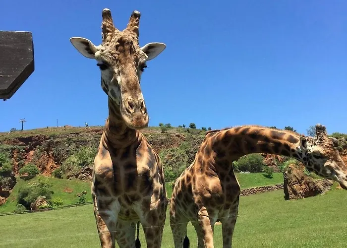 別荘 La Casa De Piedra Corrales De Buelna